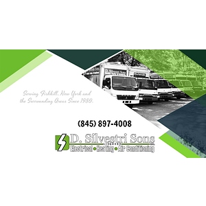 D. Silvestri Sons Inc. - Logo