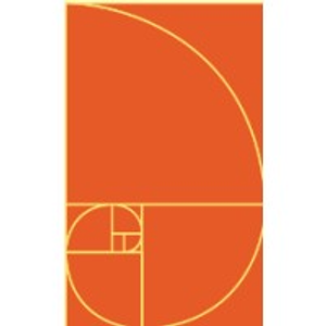 Scala Design & Construction Services Inc - Logo