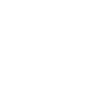 Redwall Studio - Logo