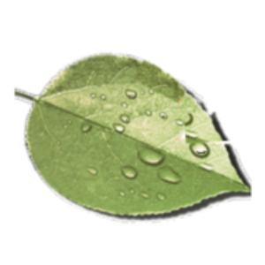 Equinox Landscape Construction Corporation - Landscape designer in Santa Rosa