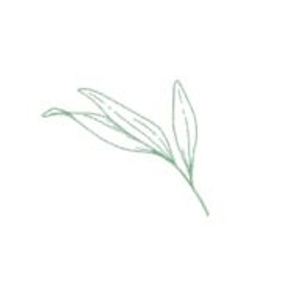A Therapeutic Spa - Logo