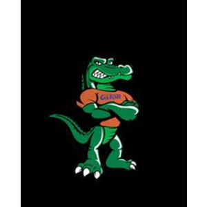 Gator Carpet Cleaning and Water Restoration - Logo