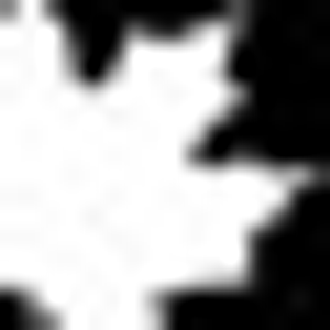 Northern Landscapes, llc. - Logo