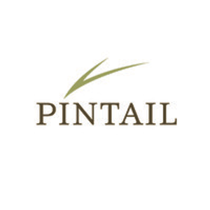 Pintail - Logo