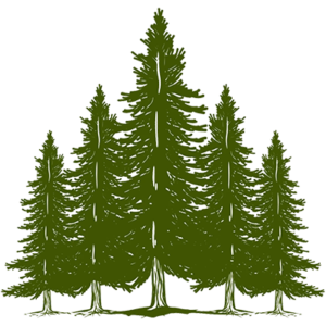 Next Level Tree Service - Logo