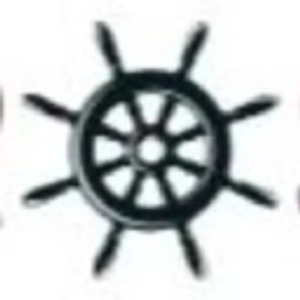 Salt Shaker Charters