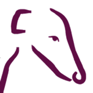 Southern Arizona Greyhound Adoption - Logo