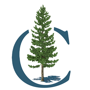 Wiggins Village Park - Logo