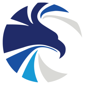 Hawk Painting - Logo