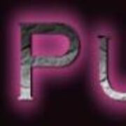 The Puppy Boutique - Logo