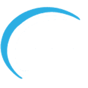 Petty Shine - Logo