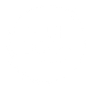 Blue Door Salon and Spa - Logo