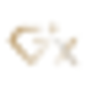 Gemsparx - Logo
