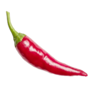 Hot Tropic - Catering food and drink supplier in North Las Vegas