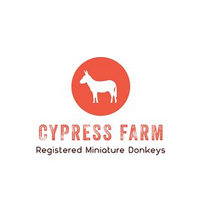 Cypress Farm Miniature Donkeys
