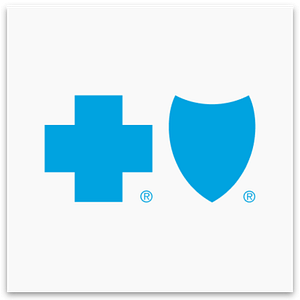 Blue Cross Blue Shield