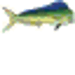 Catch 22 Fishing Charters