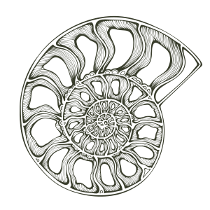 Flora and Fauna