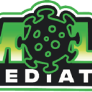 Mr. Mold of Grand Rapids - Environmental consultant in Grand Rapids