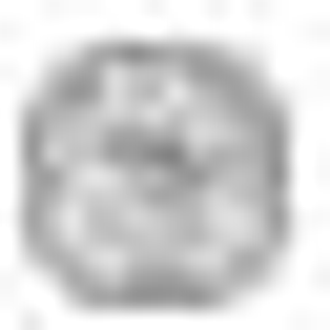 Depew Park - Logo