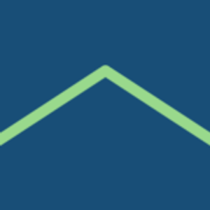 Excel Roofing - Logo