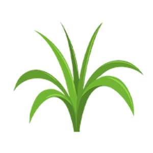 T & T Lawns Plus - Landscaping Design & Maintenance - Logo