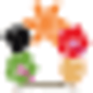 Hi'iaka Florist