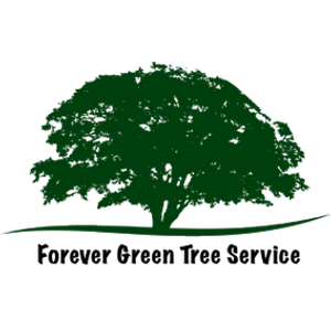 Forever Green Tree Service