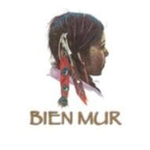 Bien Mur Indian Market Center - Logo