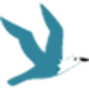 Seagull Contracting Corporation
