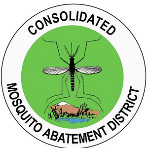 Consolidated Mosquito