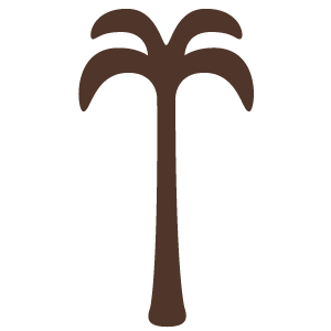 The Palm - Charlotte - Other in Charlotte