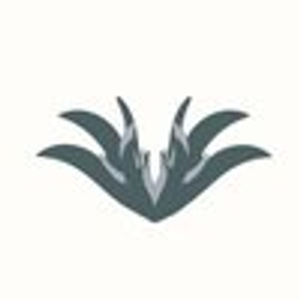 Valor Injury Law (formerly TLT Legal Services - Logo