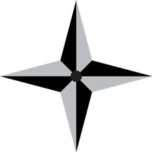True Directional Services, LLC - Logo
