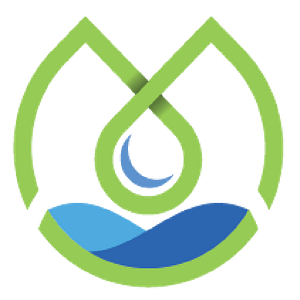 Prosper Health and Aesthetics - Logo
