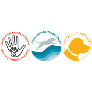 Grandview Animal Hospital: Twigg Brad DVM - Logo