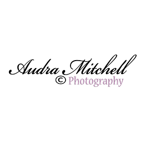 Audra Mitchell Photography - Logo