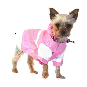 Swanky Paws - Logo