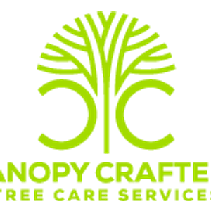 Canopy Crafters - Tree Care Experts - Logo