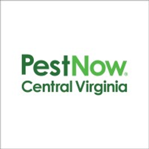 PestNow of Central Virginia | Richmond - Logo