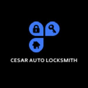 Cesar Auto Locksmith - Emergency locksmith service in Marietta