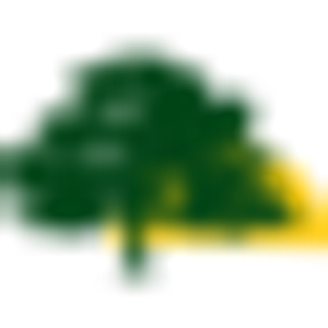Scenic Landscaping - Logo