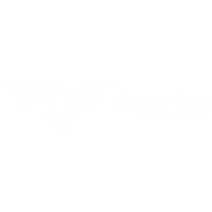 Clean Flight Solutions