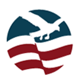 Patriot Insurance Services - Logo
