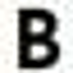Blindauer Sheet Metal & Roofing Inc - Logo