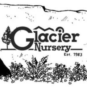 Glacier Nursery - Logo