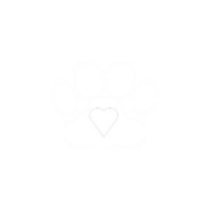 Dr. Elizabeth Ellis, DVM, VMD: Aspen Ridge Animal Hospital - Logo
