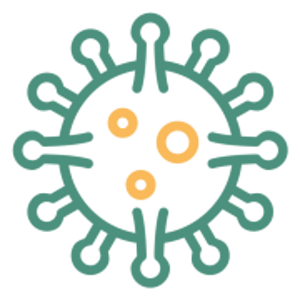 Mold Removal Sarasota - Logo