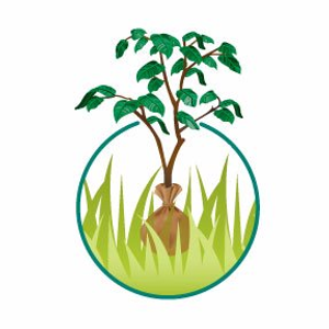 Moyers Lawn Service & Landscaping
