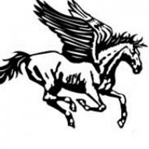 Victor Projects Ltd - Logo